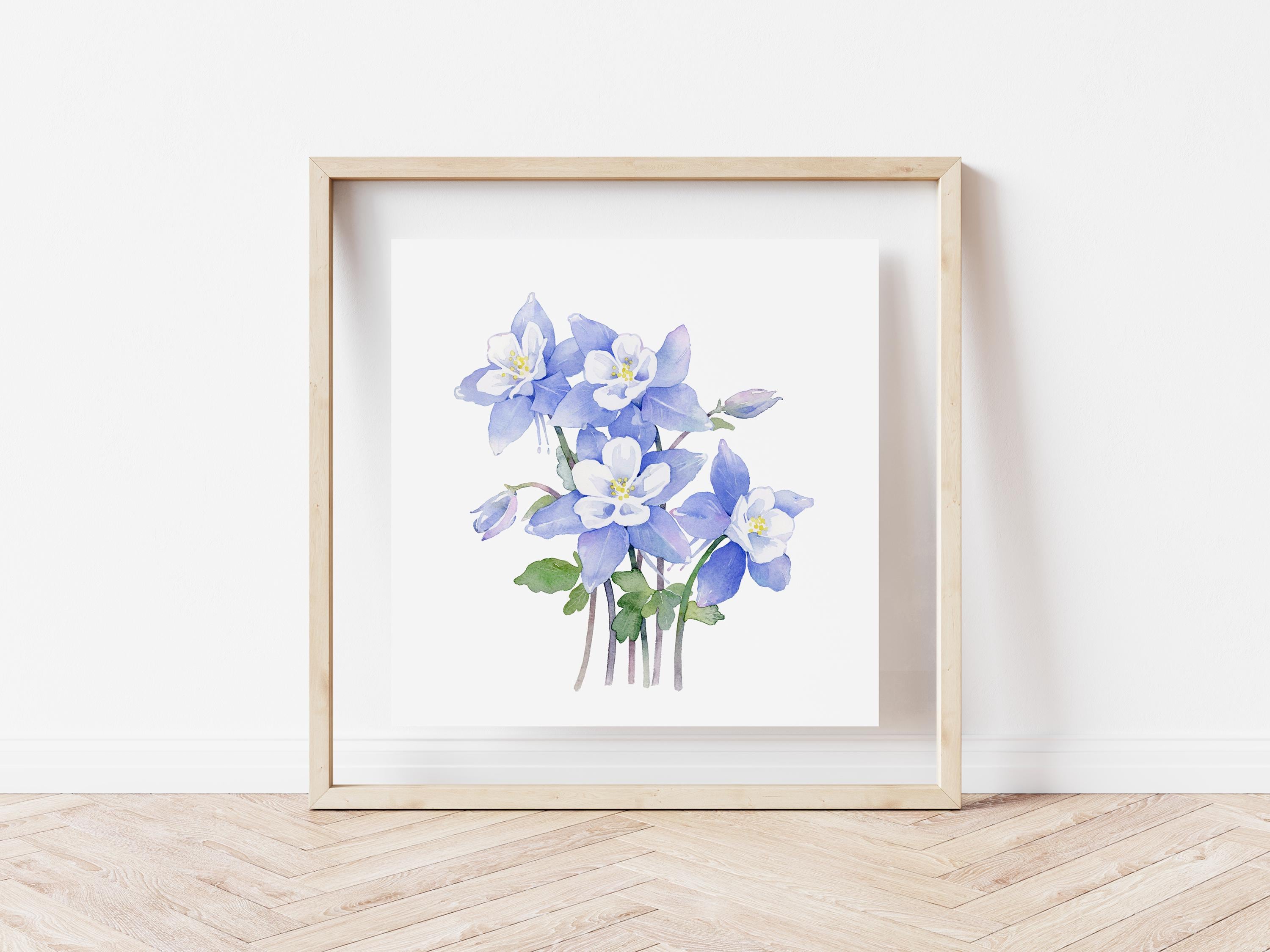 Columbine - 8x8, 8x10, 11x14 Giclee Print of watercolor painting