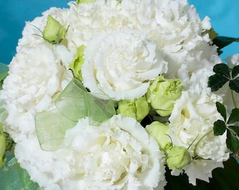 LIVE PLANT Lisianthus Voyage 2 White Eustoma grandiflorum 4 Plugs ready to plant