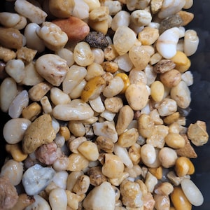 May include: A close-up of a collection of smooth, rounded stones in various shades of brown, white, and beige. The stones are arranged in a random pattern, creating a natural and textured look.