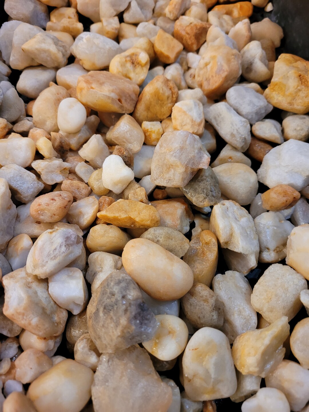 Larger Size Natural Aquarium Gravel Substrate 9 Lbs Bags FREE SHIPPING