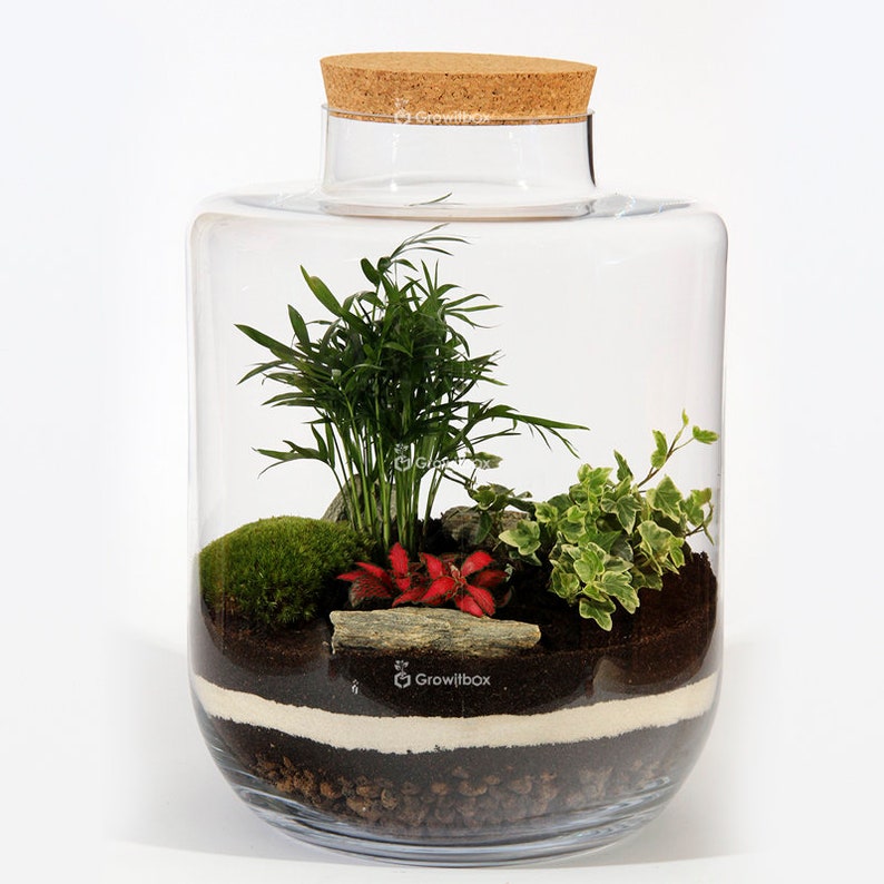Terrarium Kit with Glass Jar 40cm Forest in the jar Palm Etsy