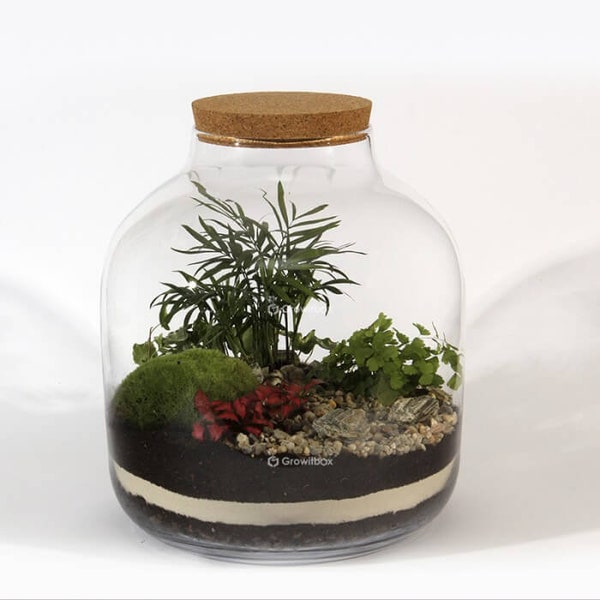 Jar 38cm "keg" Composition Palm, fern set DIY forest in a jar, Terrarium glass, plants in glass, mossarium, Terrarium Kit