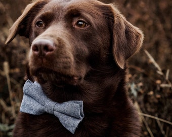 Dog Bow Tie Blue - Pet Bow Tie - Wedding Dog Bow Tie