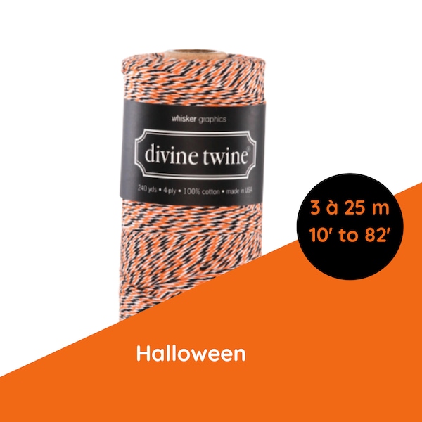 Divine Twine/Ficelle Halloween/corde de boucher/diy halloween/fil/baker's twine/diy cadeau guirlande/emballage/diy enfant/biodégradable