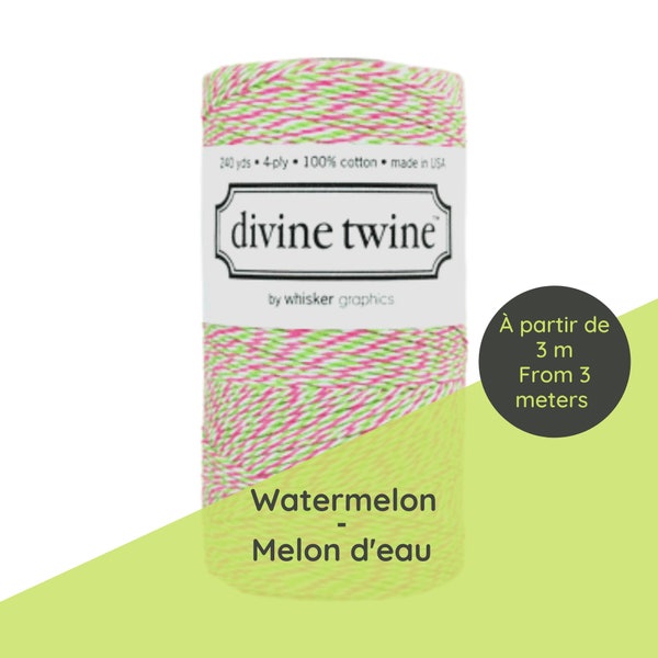 Divine Twine/Ficelle triolore melon d'eau/corde de boucher/diy été/fil/baker's twine/diy cadeau guirlande/emballage/diy enfant/biodégradable