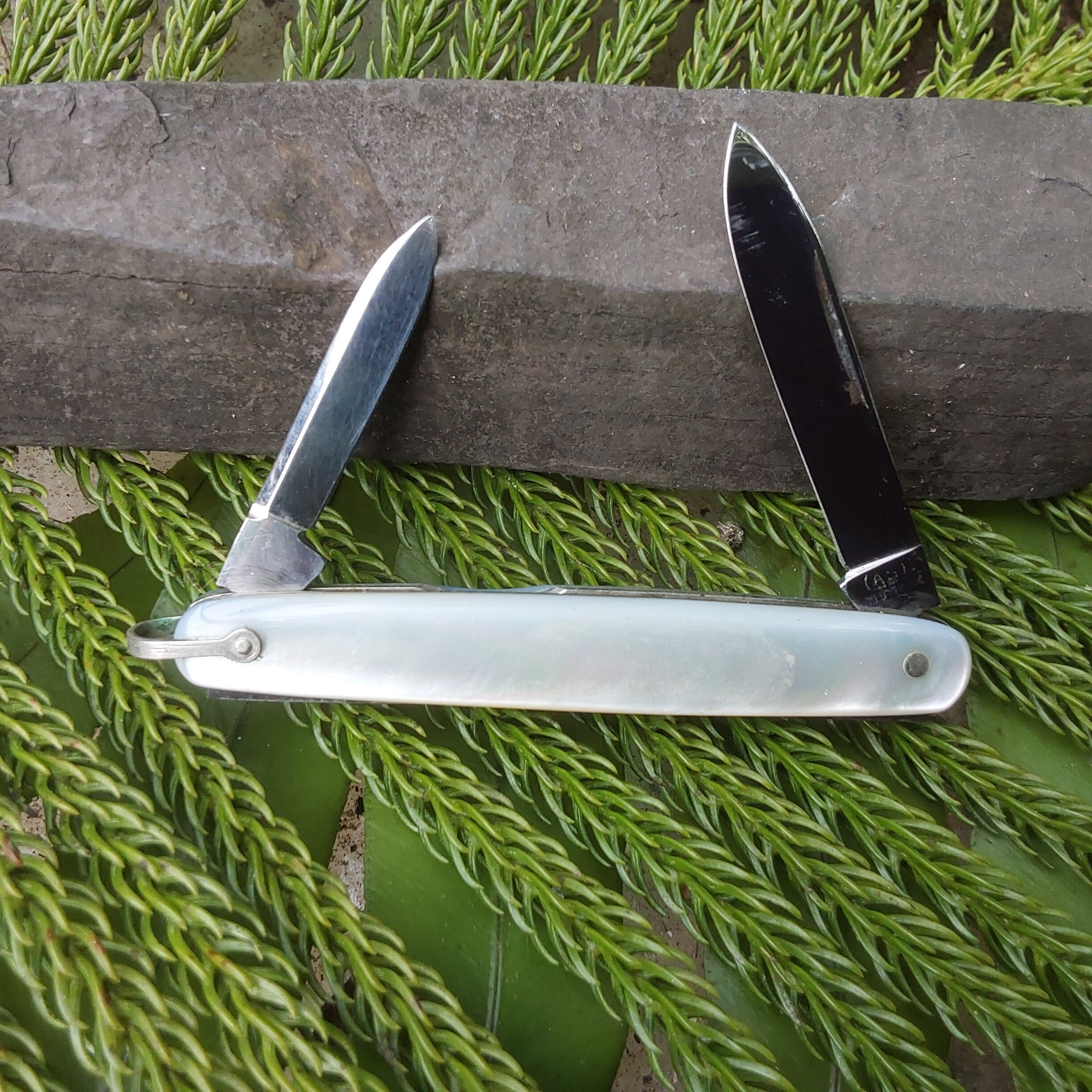 Antique Case XX Knife: 1920s Mother of Pearl Pocket Knife - Etsy