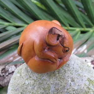 May include: A small, hand-carved wooden sculpture of a creature with a rounded body, curled limbs, and a detailed face. The sculpture is a warm brown color and rests on a textured gray stone. The background features green foliage.