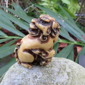 May include: A small, detailed figurine of a mythical creature, possibly a Foo Dog or guardian lion. The sculpture is a light beige color with darker brown accents, and it is posed in a seated position. The figurine is resting on a textured, gray rock, with greenery in the background.