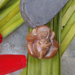 May include: A small, brown carved monkey figurine with its hands covering its eyes. The figurine is resting on a green leaf, with a gray stone and a red object in the background. The monkey is a symbol of the 'See No Evil' proverb.