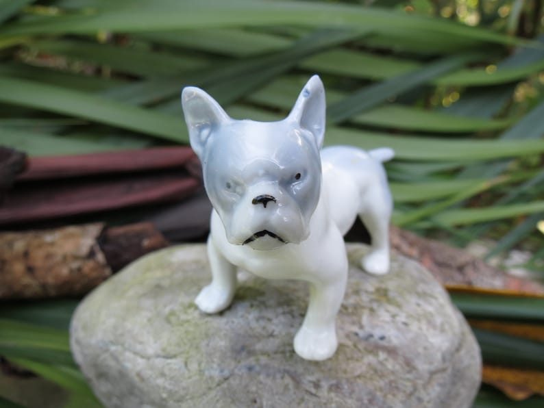 1960/'s Bull Dog Statue Marked Excellent Miniature Porcelain French Bulldog Figurine