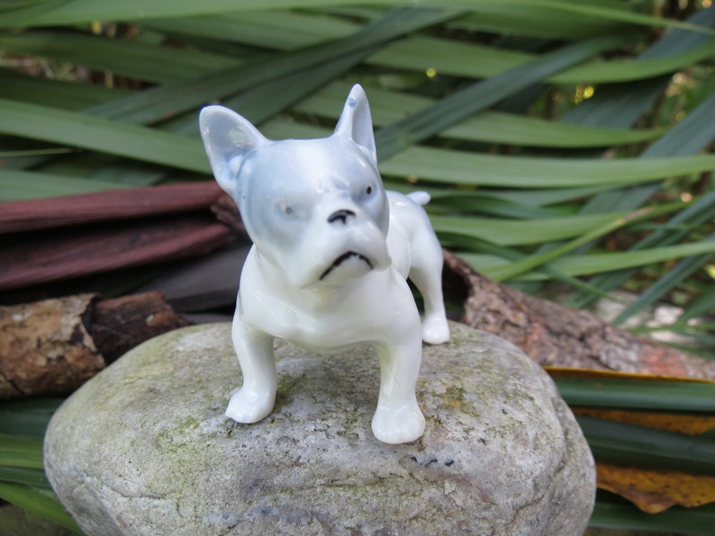 1960/'s Bull Dog Statue Marked Excellent Miniature Porcelain French Bulldog Figurine