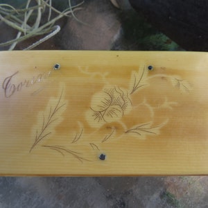 19th Century Snuff Box - French Celluloid Hinged Box - &quot;Corina&quot; - Nice Condition