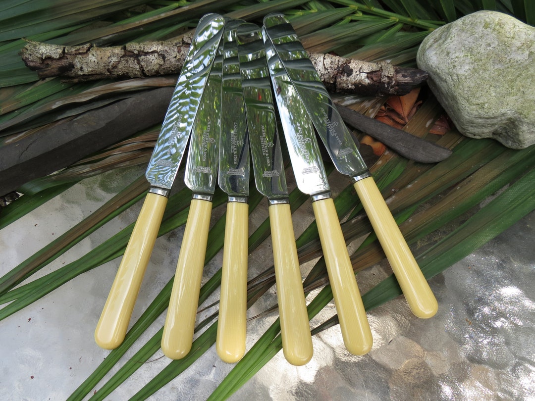 Set of 6 Celluloid Handle Dinner Knives James Deakin & Sons Sheffield