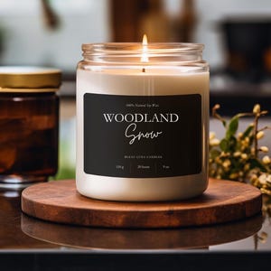 Woodland Snow Duftkerze: Kokosnuss-Apricot-Wachs, Winter Dekoration