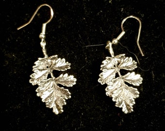 Silver Leaf Earrings