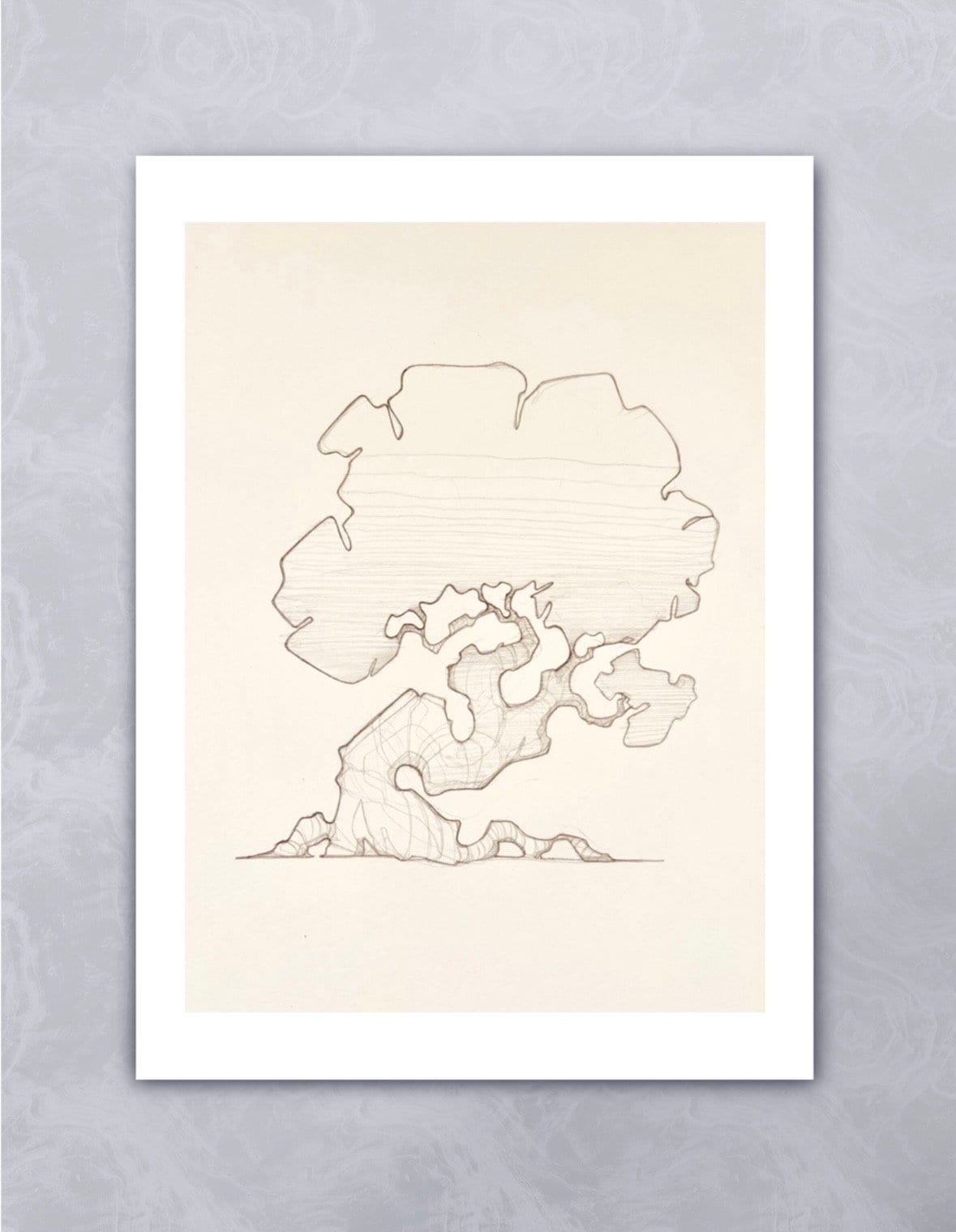 Knobby Tree Giclee Print - Etsy
