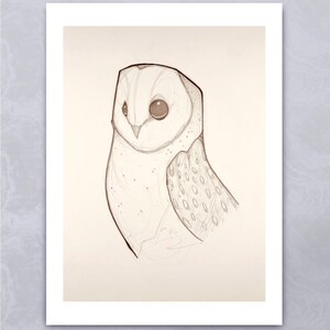 Owl Giclee Print
