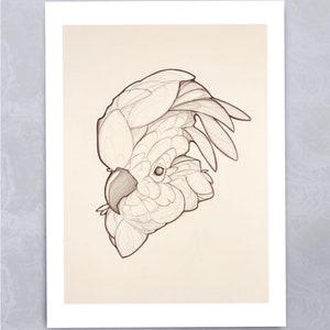 Cockatoo Partot Giclee Print