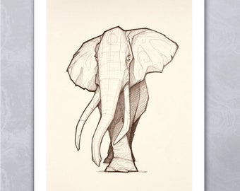 May include: A black and white line drawing of an elephant walking towards the viewer. The elephant has large ears and long tusks.