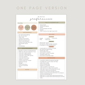 May include: A printable birth preferences checklist with sections for health information, environment, pain management, delivery, pushing, and after birth. The checklist includes spaces for the mother, father, and doula's names.
