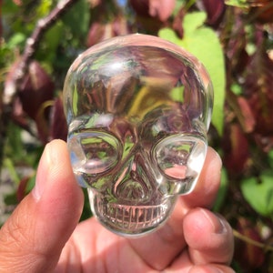 Puede incluir: Un cráneo de cristal transparente, un objeto decorativo, con una talla detallada de los rasgos del cráneo.