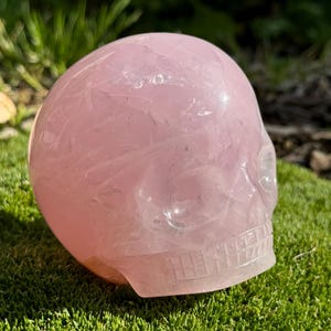 Rosenquarz Magical Child Skull mit goldenen Heiler und schönen Regenbogen Einschlüssen