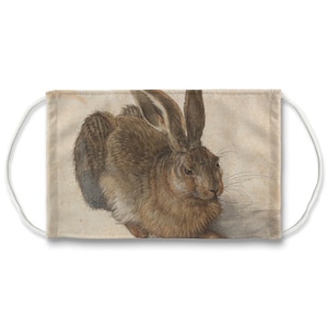 Albrecht Durer Hare Face Mask: Washable Reusable Mask with Carbon Filter