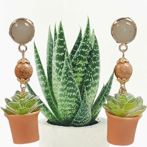 Peut inclure: Une paire de boucles d'oreilles pendantes avec une petite plante succulente en pot avec des feuilles vertes et un pot brun. Les boucles d'oreilles sont en métal doré et ont une pierre blanche en haut.