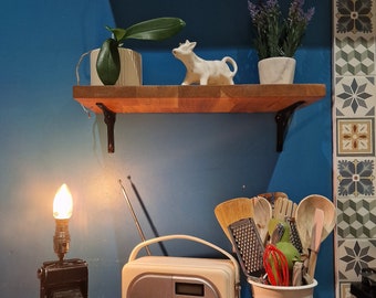 Antique Agfa Folding Camera Lamp, Table Lamp, Desk Lamp, Repurposed Funky Home Decor, Cool,Interior Design, Display Lighting