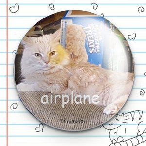 May include: A white and orange cat with green eyes is lying on a brown couch. The cat is looking at the camera. The cat is wearing a blue and white box with the words "Rice Krispies Treats" on it. The text "airplane" is written on the couch.
