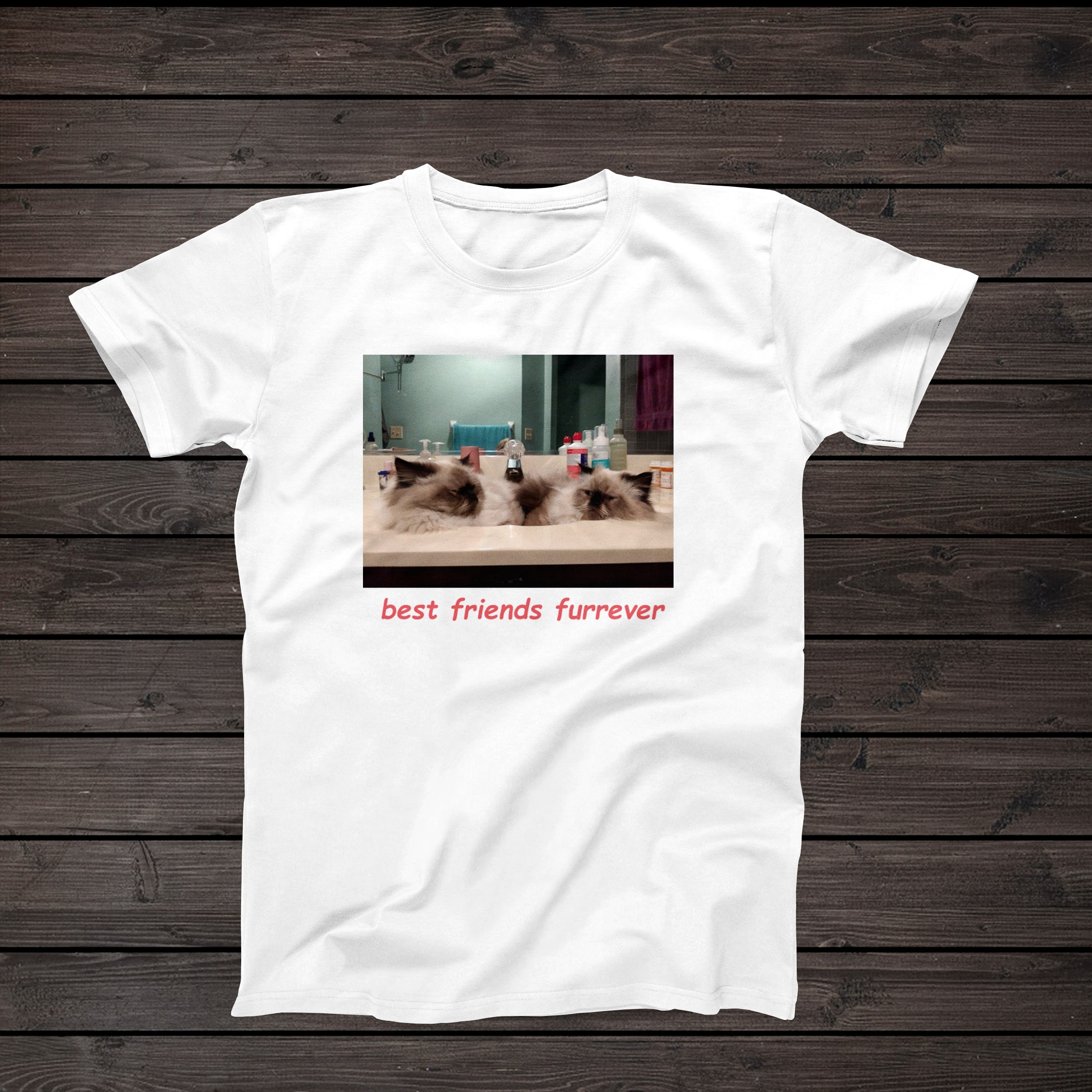 Best Friends Furrever Cat Meme Novelty 