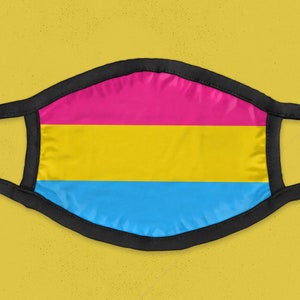 LAST CALL Pansexual Pride Face Mask with Filters