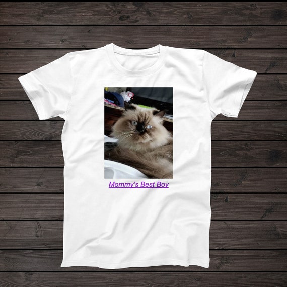 persian cat meme shirt