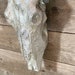 Buffalo Skull Head Animal Skulls Heads Wall Decor Hanging - Etsy UK
