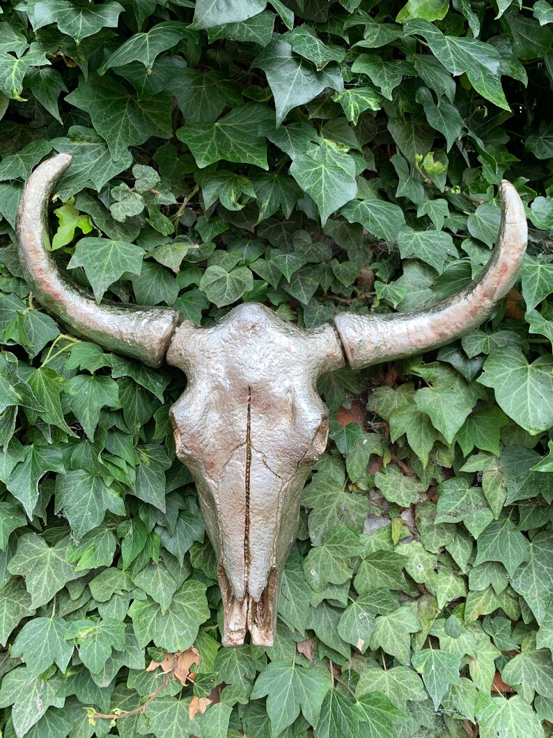 Buffalo Skull Head Animal Skulls Heads Wall Decor Hanging Etsy UK