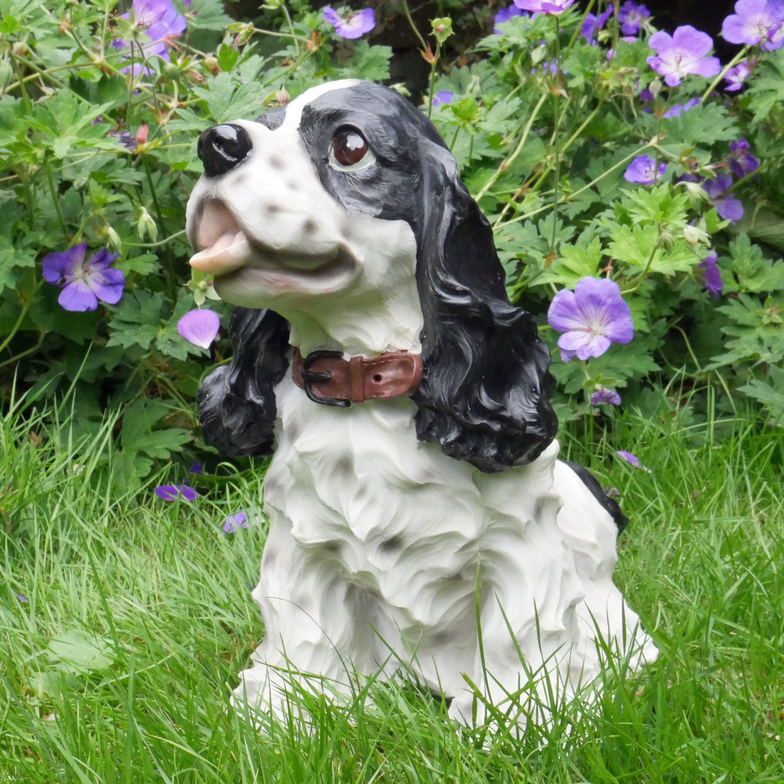 Black And White English Cocker Spaniel