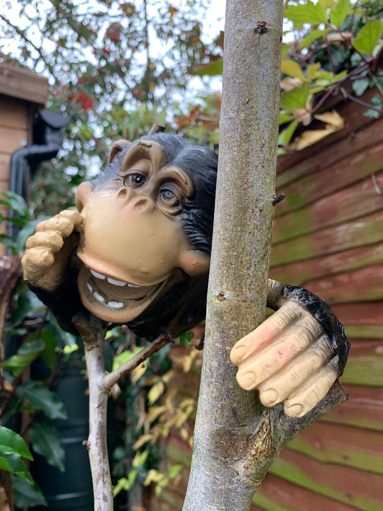 Set of 3 Monkey Garden Ornament Hanging Tree Hugger Hear See Etsy