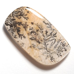 Dendritic quartz - 31x17 mm - forest plant landscape - natural cabochon-