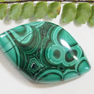 Malachite Cabochon from Congo - 30x18mm - &quot;green fish&quot;
