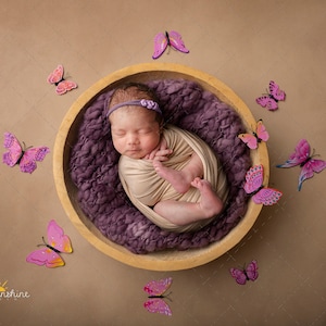 Bowl with butterflies digital backdrop for newborn photography, digital backdrop/background
