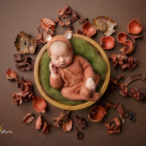 Bowl with wooden dry shells digital background, newborn photography composites