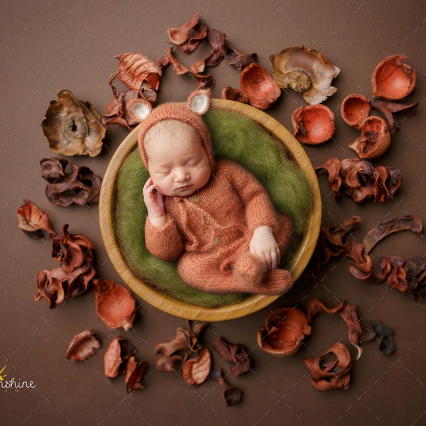 Bowl with wooden dry shells digital background, newborn photography composites