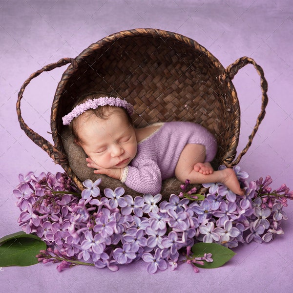 Lilac basket digital backdrop, newborn photography composite