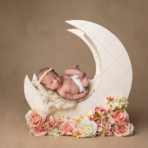Moon with flowers digital backdrop for newborn photography, digital backdrop/background