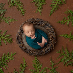 Digital backdrop for newborn,  background newborn baby girl or boy, Christmas and fall composite