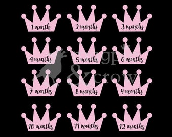 Download Milestone blanket svg | Etsy