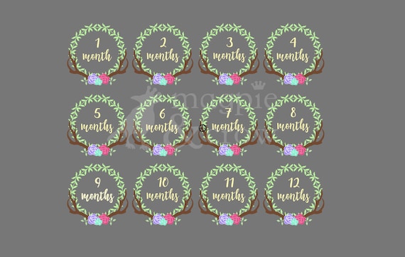 Download Baby Months Svg Baby Month Milestone Svg 1 12 Floral Etsy