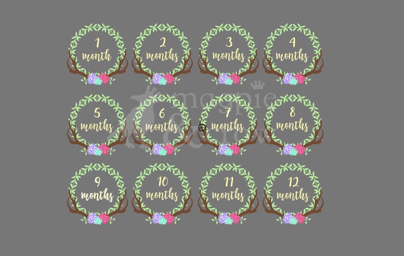 Free Free 175 Baby Monthly Milestone Svg SVG PNG EPS DXF File
