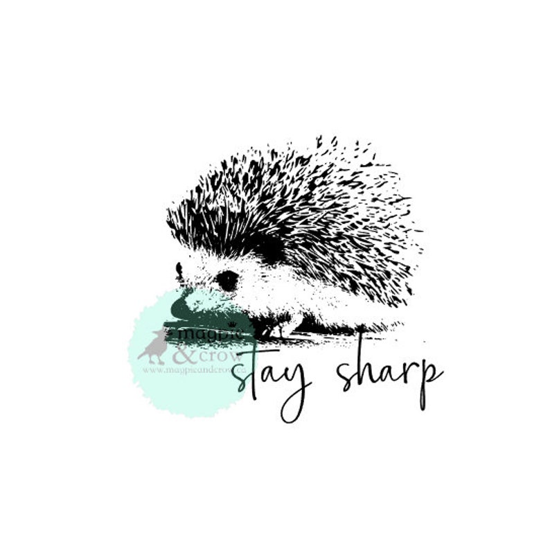 Download Art Collectibles Clip Art Hedgehog Svg Stay Sharp Svg Png File Cricut File Hedgehog Png Sublimation Design Silhouette File Cute Hedgehog Svg Porcupine Svg