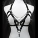 see more listings in the Harness section